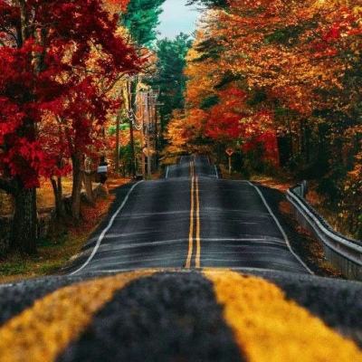 乐鱼综合APP下载