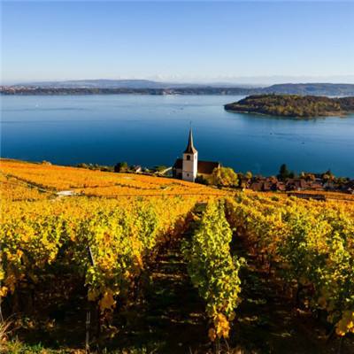 江南JNTY官网下载