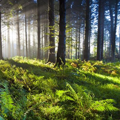 助赢软件app下载