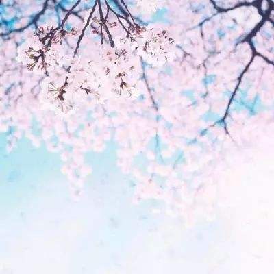 竞彩足球app官方下载手机版