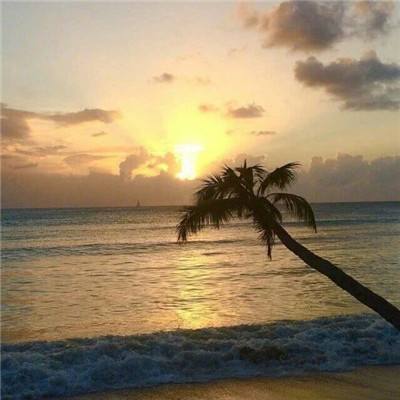 博鱼(boyu)·体育app下载